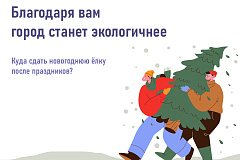 «Елочный круговорот»: москвичи выберут, где откроются пункты приема новогодних деревьев